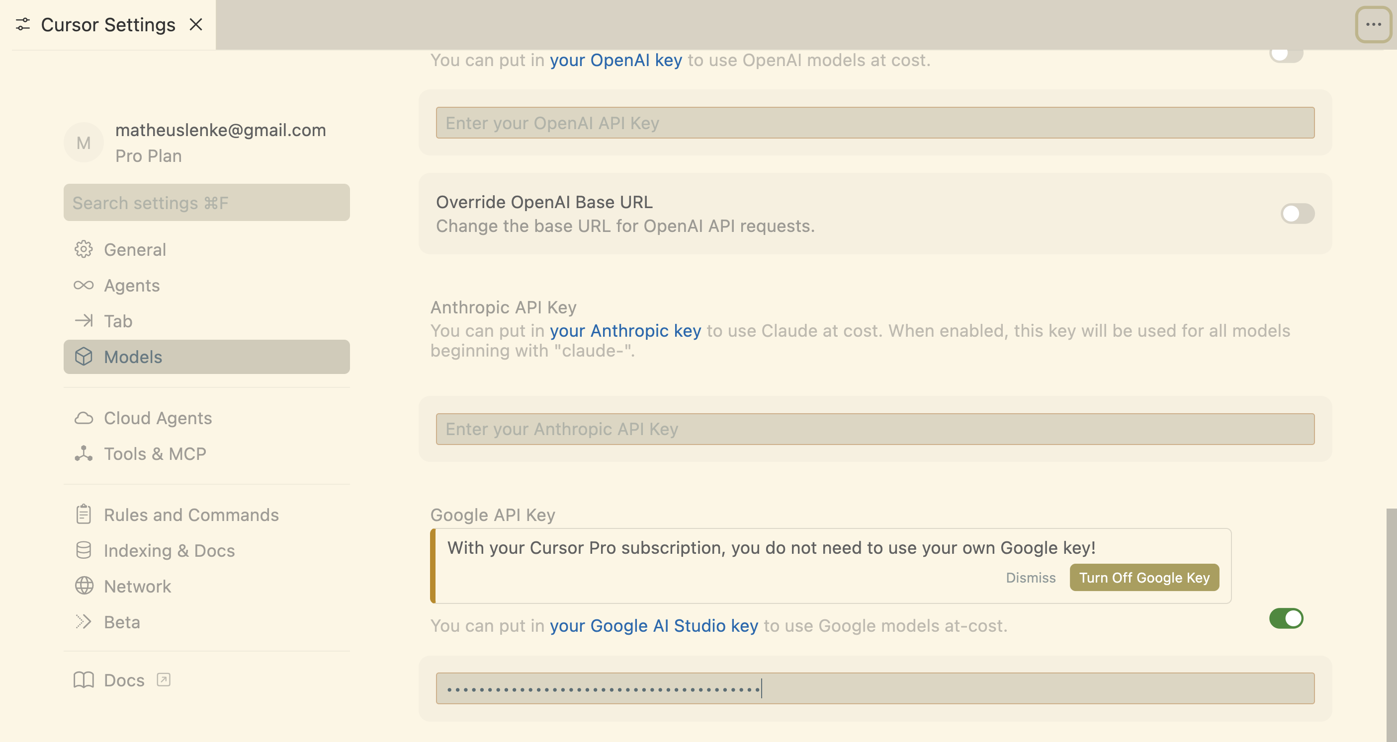 Cursor Configuration Google API Key